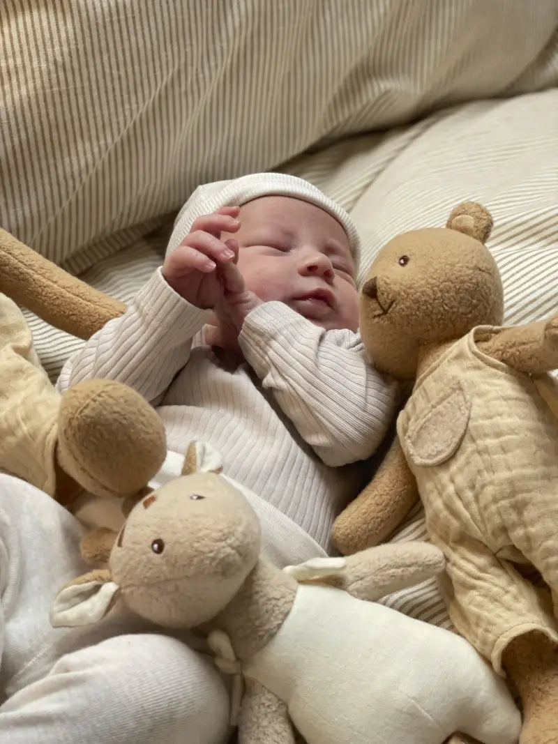Luxury Sherpa Bear Plush
